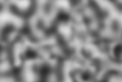 2021 Talks: Wang_Cooking Southeast Asia-inspired Soup in Animated film