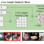 Cross Sample Similarity for Stable Training of GAN