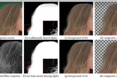 2017 Posters: LeGendre_Improved Chromakey of Hair Strands via Orientation Filter Convolution