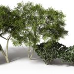 Realistic Procedural Plant Modeling Guided by 3D Point Cloud