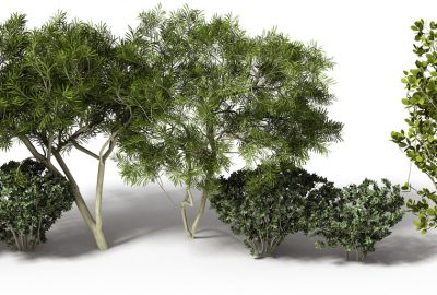 2017 Posters: Guo_Realistic Procedural Plant Modeling Guided by 3D Point Cloud