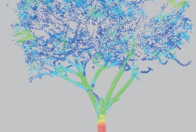 2017 Posters: Guo_Realistic Procedural Plant Modeling Guided by 3D Point Cloud