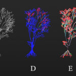 A Hybrid Approach to Procedural Tree Skeletonization