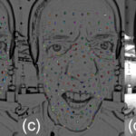 High-quality, cost-e!ective facial motion capture pipeline with 3D Regression