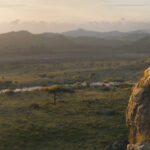 DMP without DMP, Full-CG Environments for The Lion King