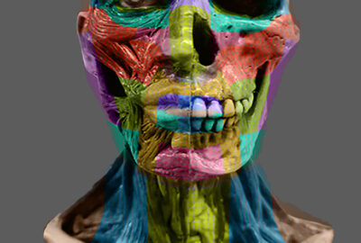 2020 Posters: Wang_An Art-Directed Workflow for Transferring Facial Action Coding Between Models with Different Mesh Topologies