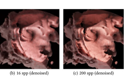 2020 Posters: Petkov_Rendering of 4D Ultrasound Data with Denoised Monte Carlo Path Tracing
