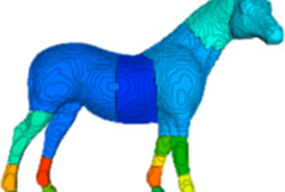 2020 Posters: Kobayashi_ICF: A Shape based 3D Segmentation Method