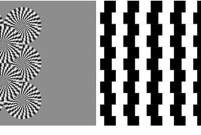 2020 Posters: Mathew_Visum: visual evoked potential as sonic sculpture