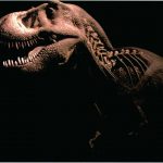 Tyrannosaurus Rex: Reconstructed
