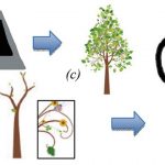 Interactive Tree Illustration Generation System