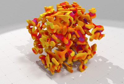 2015 Posters: Levallois_Feature Extraction on Digital Snow Microstructures