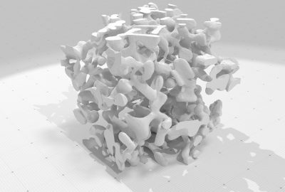 2015 Posters: Levallois_Feature Extraction on Digital Snow Microstructures