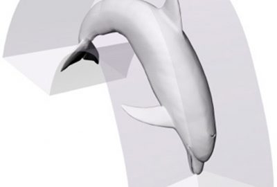 2016 Posters: Huang_Computational Swept Volume Light Painting via Robotic Non-Linear Motion