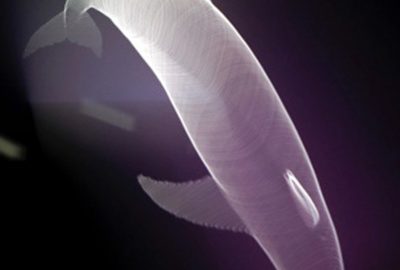 2016 Posters: Huang_Computational Swept Volume Light Painting via Robotic Non-Linear Motion