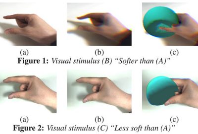 2016 Posters: Sato_Pseudo-Softness Evaluation in Grasping a Virtual Object with a Bare Hand