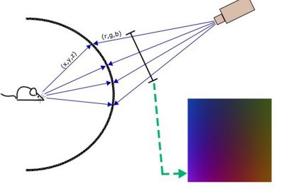 2016 Posters: Blenkhorn_RatCAVE: Calibration of a Projection Virtual Reality System