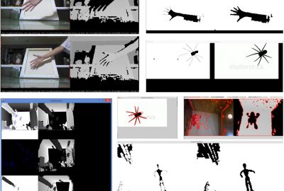 2016 Posters: Li_Towards Real-time Insect Motion Capture