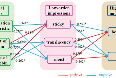 2016 Posters: Matsumoto_An Evaluation of the Relationship between Impression and the Physical Properties of Human Skin