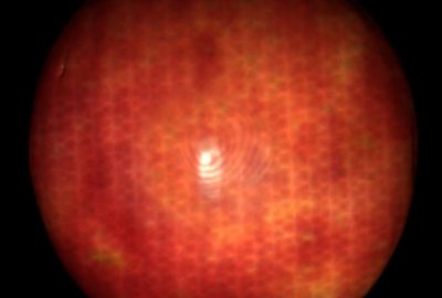 2016 Posters: Dobashi_Measuring Microstructures Using Confocal Laser Scanning Microscopy for Estimating Surface Roughness