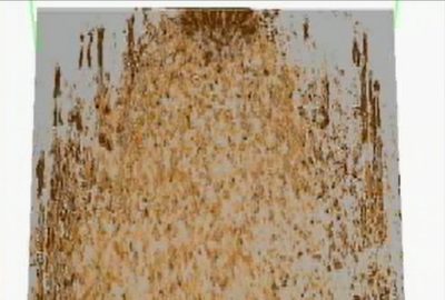 2016 Posters: Ishikawa_Rusting and Corroding Simulation Taking into Account Chemical Reaction Processes