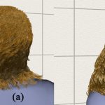 Simulating and Rendering Wet Hair