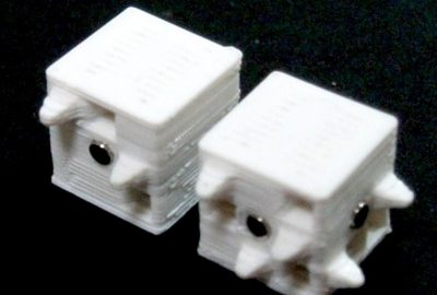 2013 Poster: Masumori_Morphological Computation onTwo Dimensional Self-Assembly System