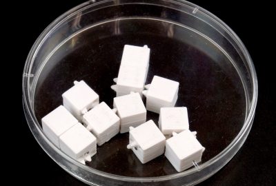 2013 Poster: Masumori_Morphological Computation onTwo Dimensional Self-Assembly System