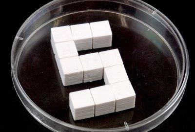 2013 Poster: Masumori_Morphological Computation onTwo Dimensional Self-Assembly System