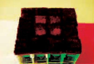 2014 Poster: Horishita_A Nonluminous Display Using Fur to Represent Different Shades of Color