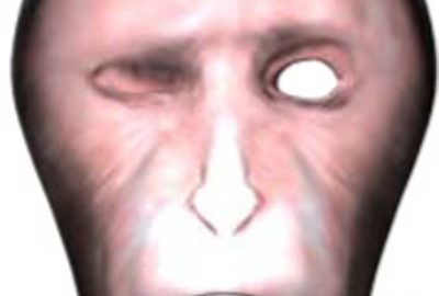 2014 Poster: Kato_Example-Based Blendshape Sculpting with Expression Individuality