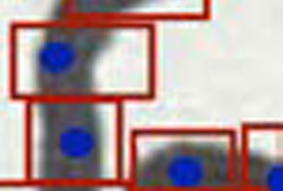 2014 Poster: Riviere_Extraction of a Cartoon’s Topology