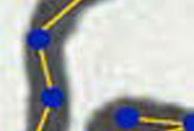 2014 Poster: Riviere_Extraction of a Cartoon’s Topology