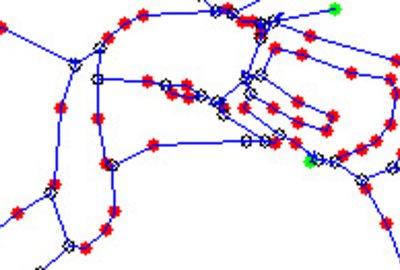 2014 Poster: Riviere_Extraction of a Cartoon’s Topology