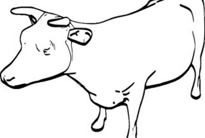 2014 Poster: Ejiri_Shading Approach for Artistic Stroke Thickness using 2D Light Position