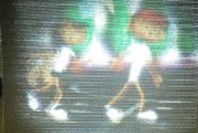 2014 Poster: Yanaka_Simple Projection-Type Integral Photography System Using Single Projector and Fly’s Eye Lens