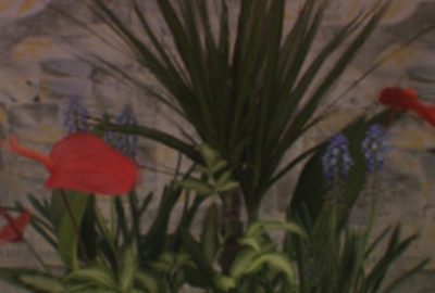 2004 Poster: Takahashi_All in-Focus Light Field Viewer