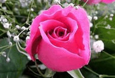 2004 Poster: Nakajima_Picture Illusion by Overlap