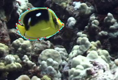 2004 Poster: Drori_Interactive Object Segmentation in Video by Fitting Splines to Graph Cuts