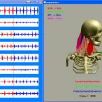 A Multi-dimensional Visualization Tool for Understanding the Role of EMG Signals in Head Movement Anticipation