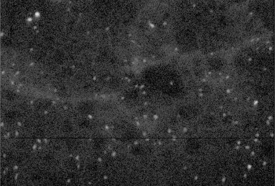 2013 Poster: Wang_Unsupervised Cell Identification on Multidimensional X-Ray Fluorescence Datasets