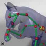 Robust and accurate skeletal rigging from mesh sequences
