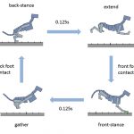 Terrain-adaptive locomotion skills using deep reinforcement learning