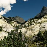 Authoring landscapes by combining ecosystem and terrain erosion simulation
