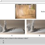 Perceptual evaluation of liquid simulation methods