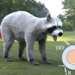 An efficient and practical near and far field fur reflectance model