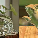 Full 3D reconstruction of transparent objects