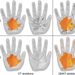Voxel cores: efficient, robust, and provably good approximation of 3D medial axes