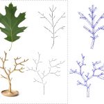 Inverse Procedural Modeling of Branching Structures by Inferring L-Systems