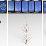 Vid2Curve: simultaneous camera motion estimation and thin structure reconstruction from an RGB video